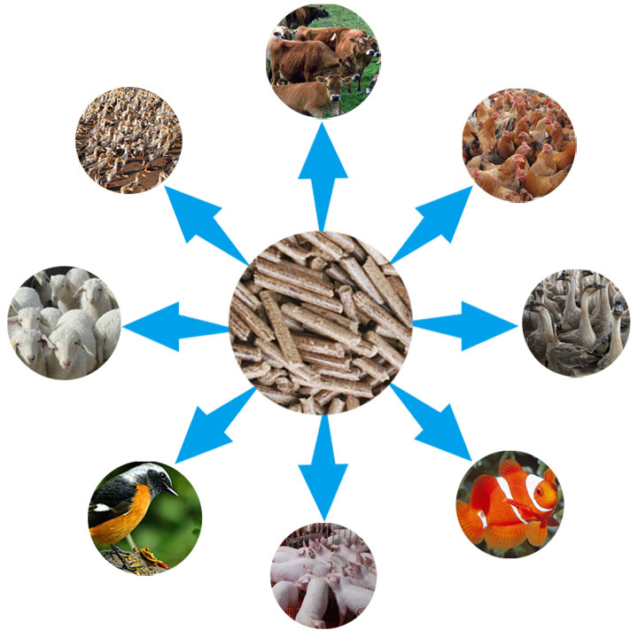 產品用途圖片 產品用途圖片