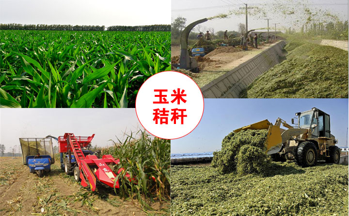 秸稈顆粒機原材料 秸稈顆粒機原材料