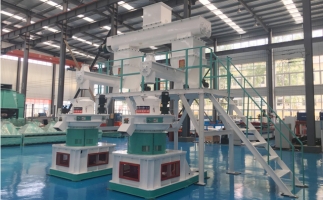 補貼時代，生物質顆粒市場如何了呢？你想知道的在這里