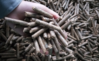 鋸末顆粒機(jī)顆粒，一種快速增長(zhǎng)的能源載體