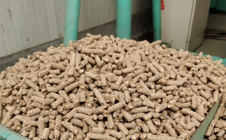 在燃燒時，水分大的生物質顆粒會出現哪些問題？