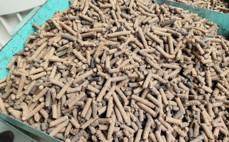 木屑顆粒機加工的顆粒燃料的環保優勢分析